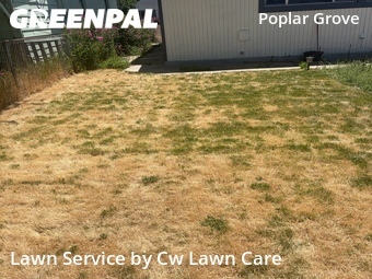 Backyard Landscaping In Salt Lake City,84104,Landscape Design by Cw Lawn Care, work completed in Jun , 2026