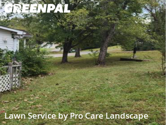 Lawn Mow nearby Concord, NC, 