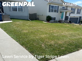 Grass Cutting nearby Omaha, NE, 
