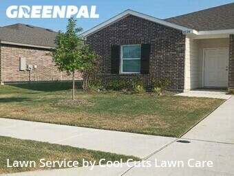 Lawn Cut nearby Haslet, TX, 
