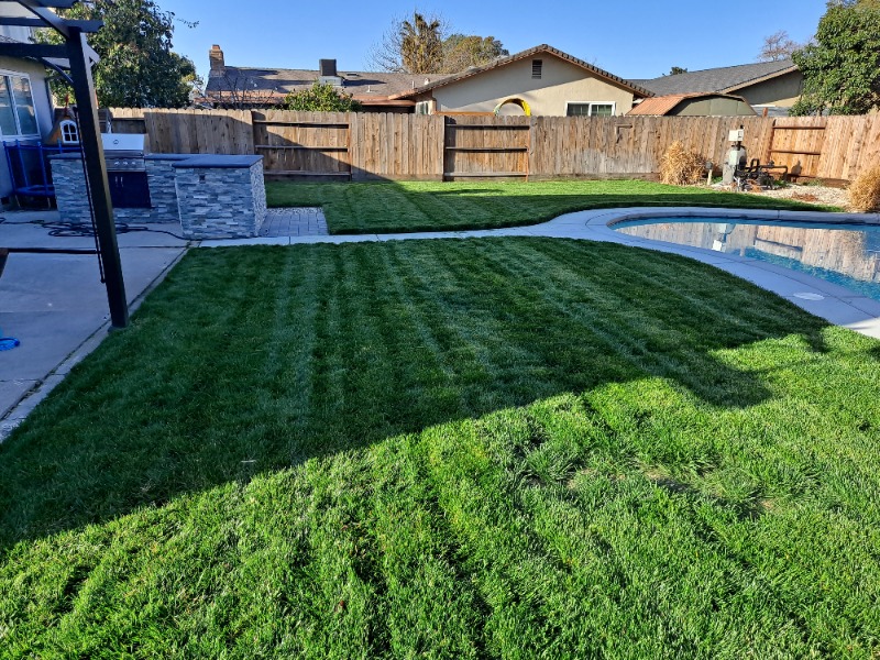 affordable-landscaping-maintenance-services-in in Arden-Arcade, CA