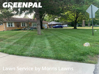 Yard Mowing nearby Toledo, OH, 