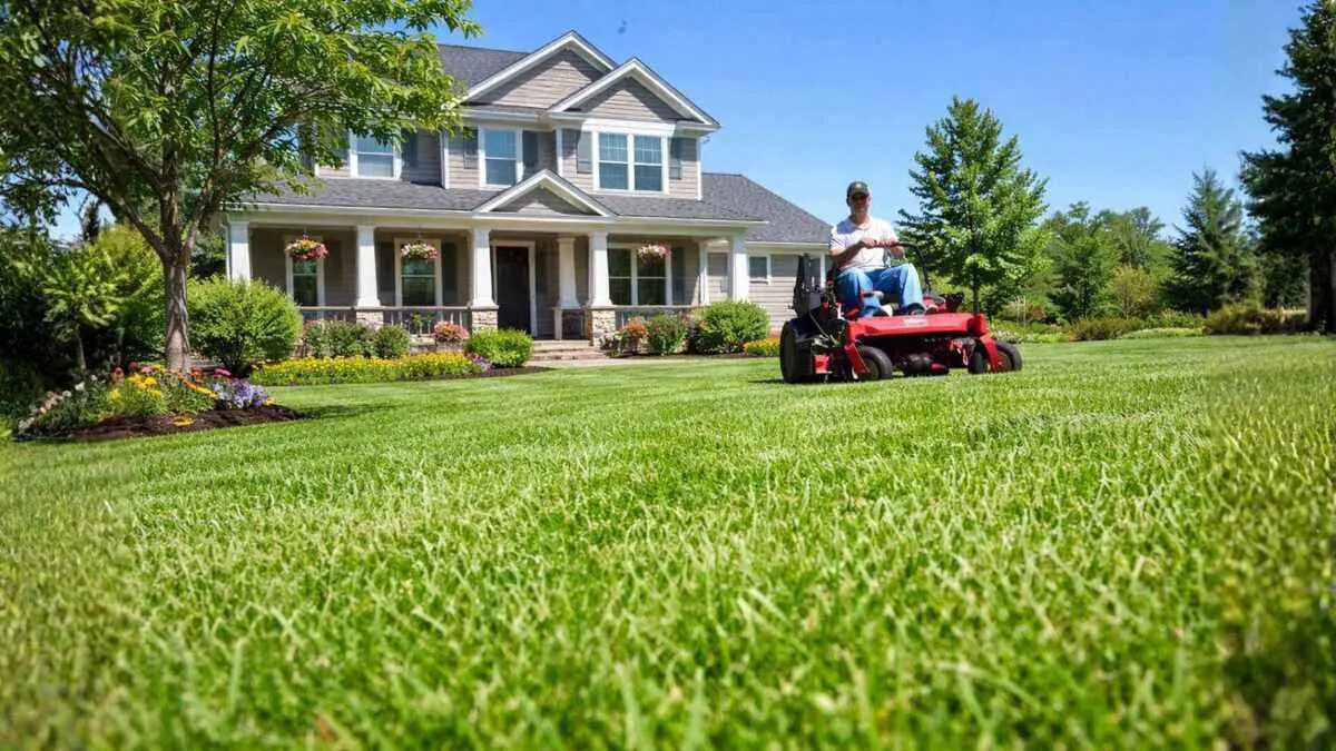 Do bidding platforms for lawn care actually save me money compared to traditional hiring?