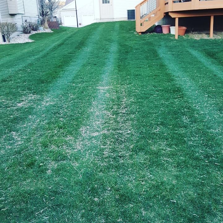 lawn-care-services-in-Champaign-IL