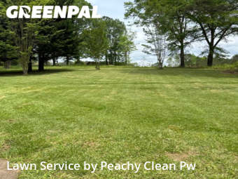 Lawn Mowing Service nearby Carrollton, GA, 