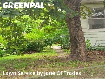 Grass Cut nearby Saint Paul, MN, 