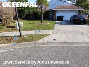Lawn Cutting nearby Orlando, FL, 