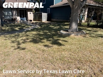 Lawn Cut nearby San Antonio, TX, 