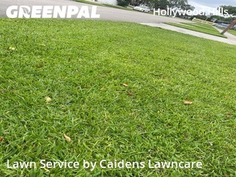 Yard Cuttingin Hollywood,33021,Grass Cut by Caidens Lawncare , work completed in Jun , 2026