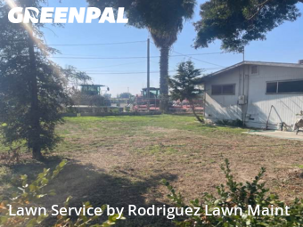 Work completed by cheap-lawn-cutting-businesses-in-Tulare-CA