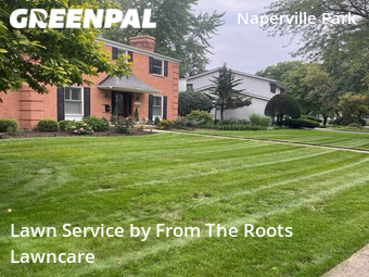 Lawn Mow nearby Naperville, IL, 