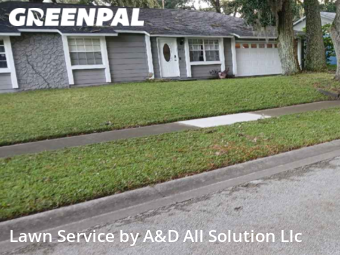 Grass Cut nearby Orlando, FL, 