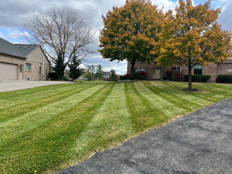 Imperial Lawn Lawn Care Services in Charter Township Of Ypsilanti, MI