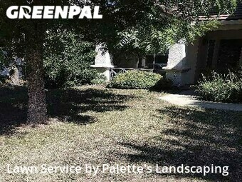 Grass Cutting nearby Yuba City, CA, 