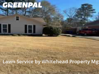 Lawn mowed in Columbus, 31909