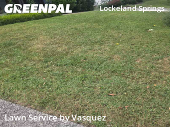 Lawn Mow nearby Nashville, TN, 