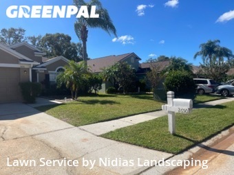Lawn Cut nearby Land O' Lakes, FL, 