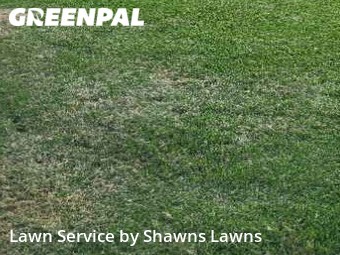 Lawn Mowing nearby Dallas, TX, 