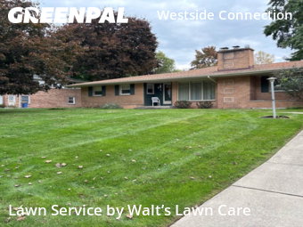 Grass Cut nearby Grand Rapids, MI, 