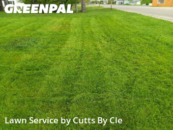 Grass Cut nearby Oregon, OH, 