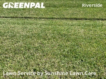 Grass Cut nearby Port St. Lucie, FL, 