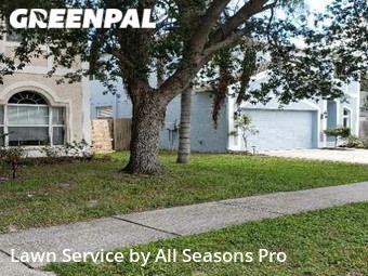 Yard Mowing nearby Riverview, FL, 
