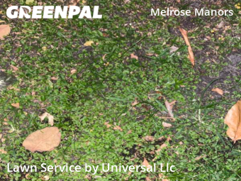 Lawn Care Service nearby Fort Lauderdale, FL, 