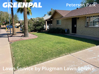 Landscapers In Tempe,85282,Landscaping by Plugman Lawn Service, work completed in Jun , 2026