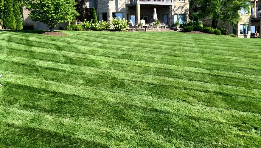 ​Best Lawn Fertilization Companies in St Louis