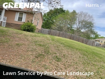 Grass Cut nearby Charlotte, NC, 