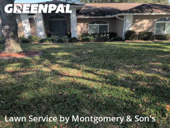 Lawn Maintenancein Lakeland,33809,Grass Cut by Montgomery & Son's, work completed in Feb , 2026