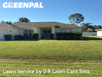 Grass Cutting nearby Palm Coast, FL, 