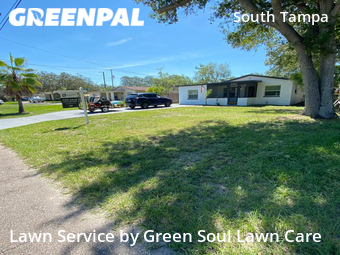 Lawn Mow nearby Tampa, FL, 