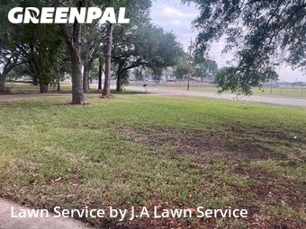 Residential Landscaping In Pasadena,77504,Landscaping by J.A Lawn Service, work completed in Jan , 2026