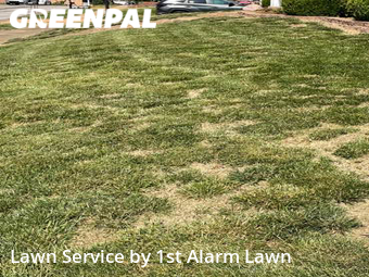 Lawn Cut nearby St. Louis, MO, 