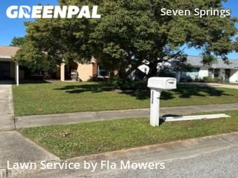 Lawn Service nearby Trinity, FL, 