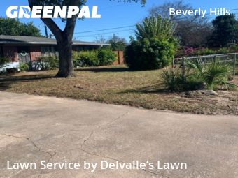 Lawn Service nearby Daytona Beach, FL, 