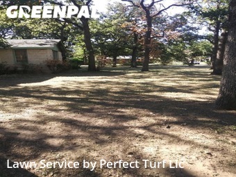 Lawn Mowing Service nearby Arlington, TX, 