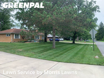 Lawn Maintenance nearby Toledo, OH, 