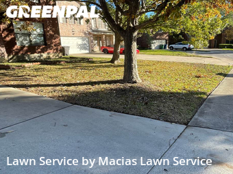 Lawn Mow nearby San Antonio, TX, 