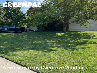 Lawn Cut nearby Fort Wright, KY, 