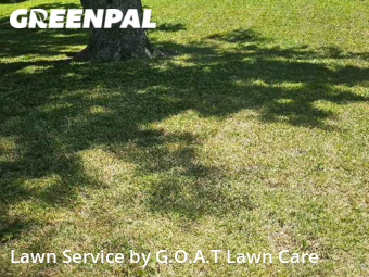 Lawn Cut nearby Independence, MO, 