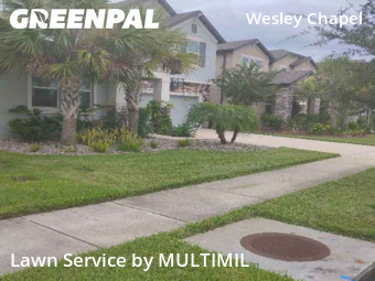 Lawn Mowing Service nearby Wesley Chapel, FL, 