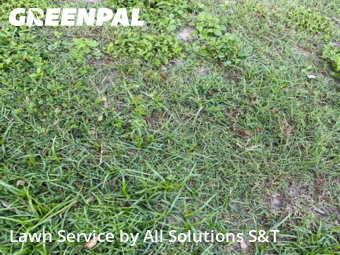 Lawn Service nearby Poinciana, FL, 