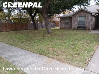 Grass Care in Saginaw, 76131, Yard Care by Olive Branch Lawn, work completed in Dec , 2025