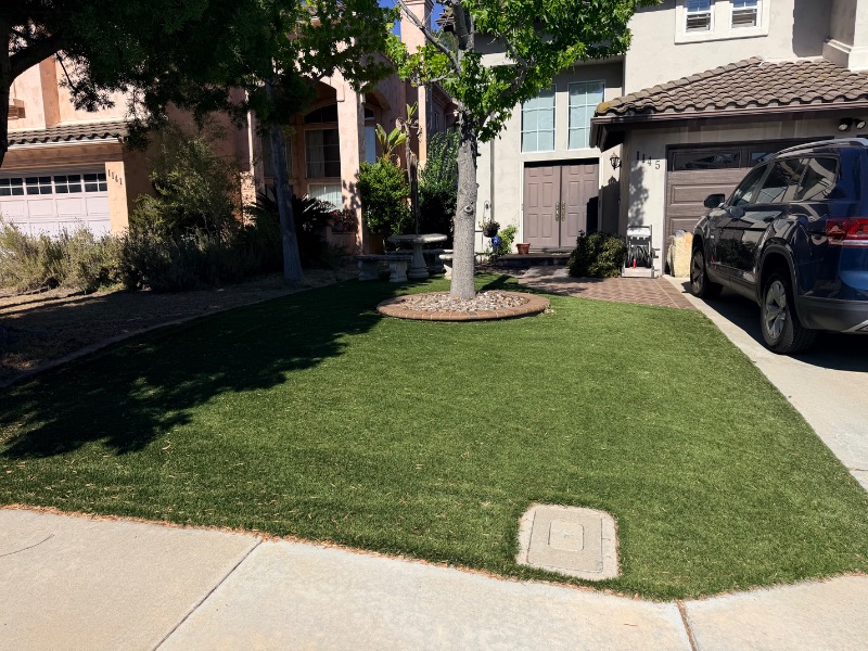 Lawn mowing work by South Cal Landscaping in National City, CA