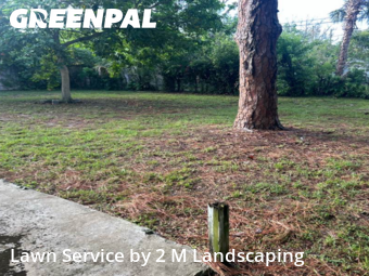 Lawn Carein Plantation,33317,Lawn Care Service by 2 M Landscaping, work completed in Dec , 2025