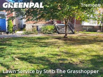 Lawn Cut nearby Cleveland, OH, 