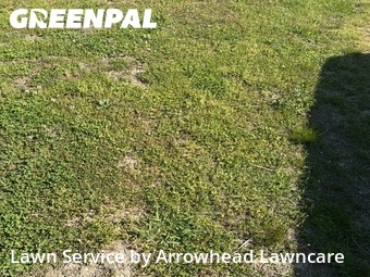 Lawn Maintenance nearby Harrison, TN, 