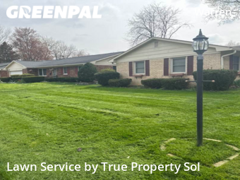 Lawn Mow nearby Indianapolis, IN, 